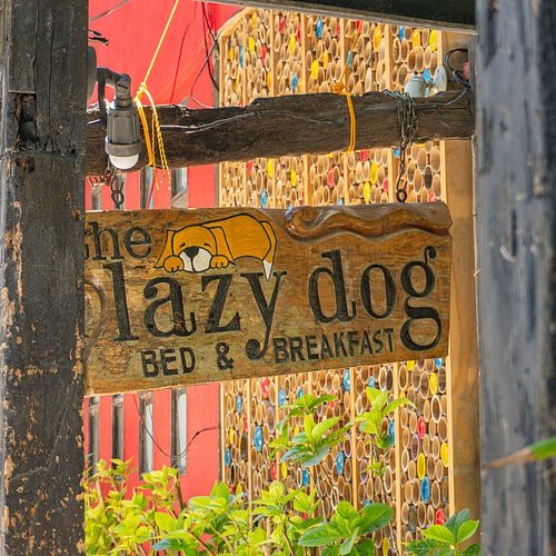 lazy dog bed and breakfast signage